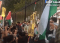 pro-Palenstine protesters